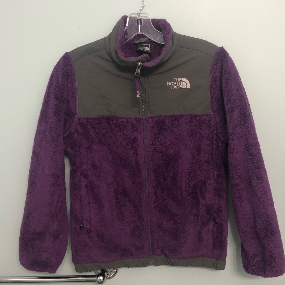 The North Face Denali Purple Fleece Jacket